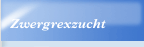 Zwergrexzucht