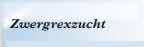 Zwergrexzucht