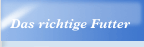 Das richtige Futter