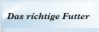 Das richtige Futter