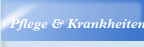 Pflege & Krankheiten